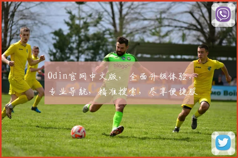 Odin官网中文版，全面升级体验，专业导航，精准搜索，尽享便捷服务，助力高效办公。