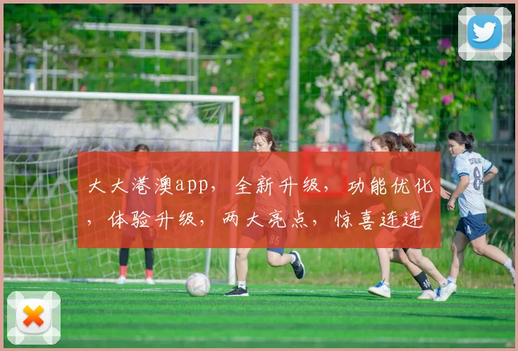 大大港澳app，全新升级，功能优化，体验升级，两大亮点，惊喜连连，不容错过